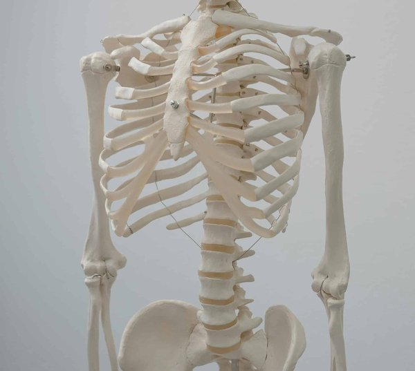 prévention et traitement de l'ostéoporose